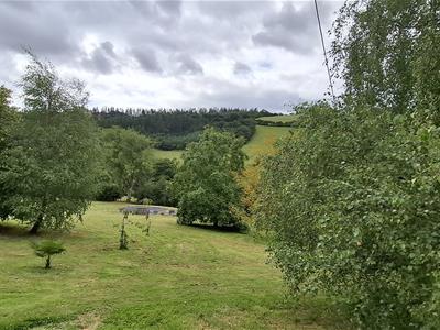 Picture 32